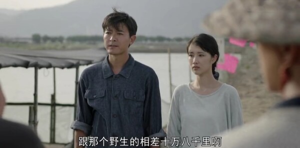 那山那海第15集劇照